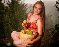 Règlement intérieur pour groupes scolaires au verger