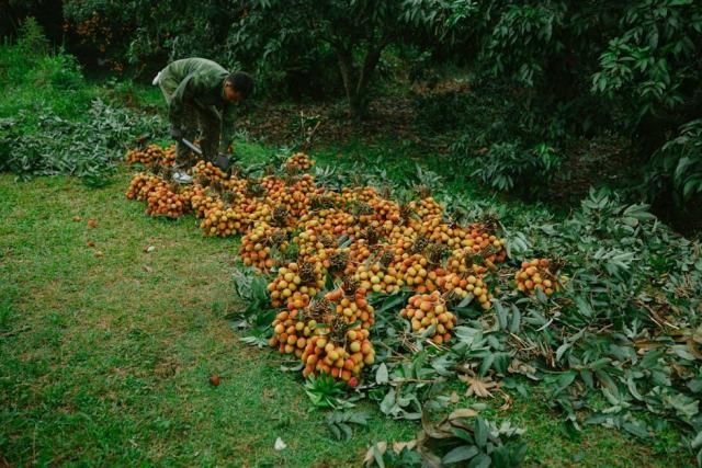 Le verger au service des entreprises, associations et mairies Le verger au service des entreprises, associations et mairies