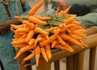 Fanes de carottes : recettes, conservation et usages