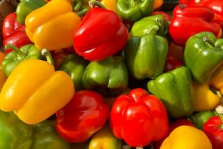 Poivrons confits au four : recette douce et savoureuse