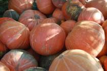 Purée de potiron onctueuse : recette d'automne parfumée