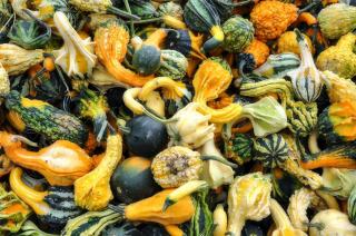 Soupe patisson : recette facile et gourmande du verger