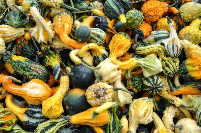 Velouté de pâtisson : recette de soupe d'automne