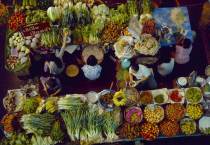 Tous les fruits et légumes du verger, par catégorie