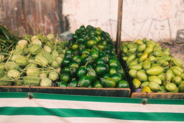Le concombre, légume frais et croquant à déguster tout l'été