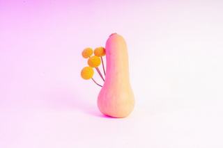 Butternut conservation : saison, recettes et conseils au verger