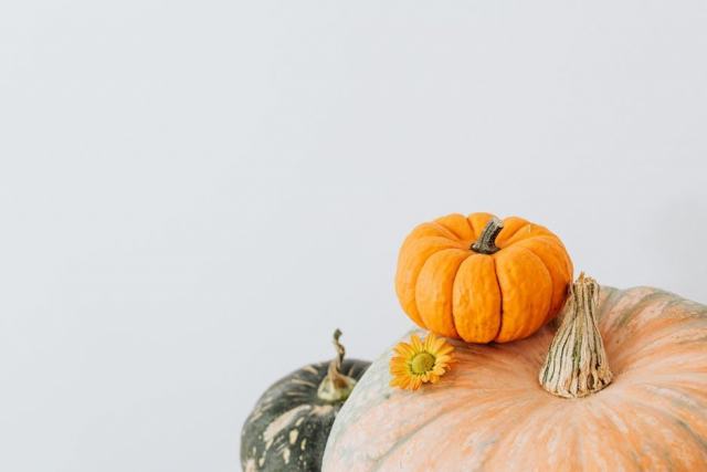 Courge et potiron : différences et meilleures façons de les cuisiner