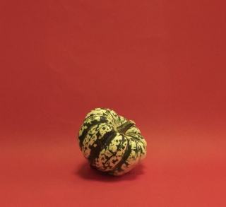 Courge spaghetti recette : saison, recettes et conseils au verger