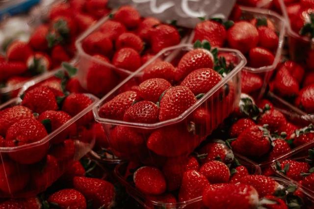 La fraise au verger : savourez les premières de la saison