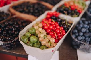 Les vergers de champlain : saison, recettes et conseils au verger