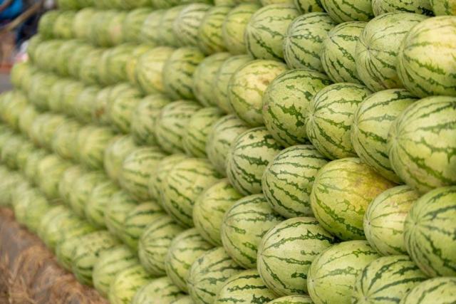 Comment savoir si un melon est mûr : les bons gestes