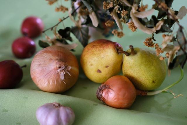 Oignon nouveau : cueillette et saveurs printanières Oignon nouveau : cueillette et saveurs printanières