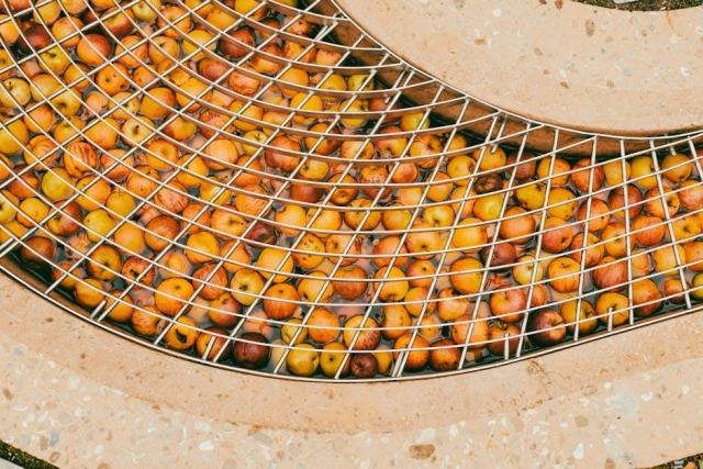 P..., savoir-faire et saveurs du verger au fil des saisons