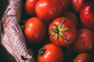 Tomate coeur de boeuf : saison, recettes et conseils au verger