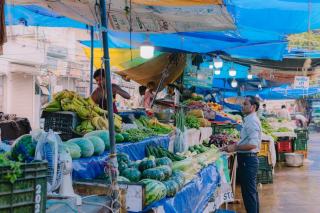 Calendrier de cueillette fruits et légumes : guide des saisons